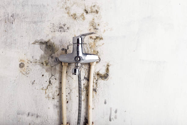 Best Emergency Mold Removal  in Rio Del Mar, CA