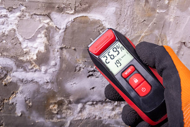 Mold Removal and Inspection in Rio Del Mar, CA