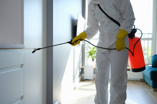 Best Professional Mold Removal  in Rio Del Mar, CA