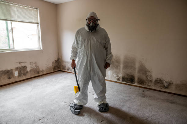 Best Mold Cleaning Services  in Rio Del Mar, CA